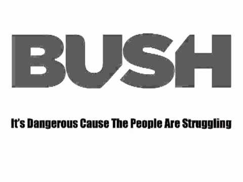 bush