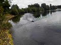 mono 2 rennboot mit Plettenberg motor