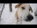 A Holly Burn | Local laps in Vancouver's North Shore mountains - foto 1
