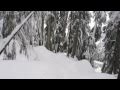 A Holly Burn | Local laps in Vancouver's North Shore mountains - foto 3
