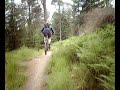 Glentress Red Route Glentress Red Route
