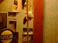 Kana la ratte qui grimpe