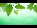 ? - Water Song (Music for Relaxation&Meditation)