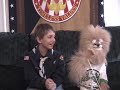 Buttons, the radical Boy Scout, in 