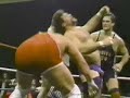 Steiner Stripped