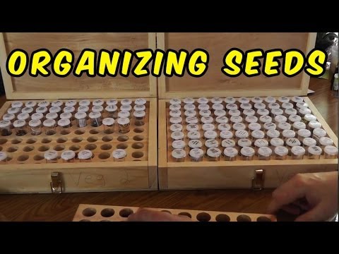 how to collect draenic seeds