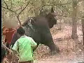 Torture in Thailand