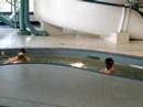 Ray Swim Lessons Part 2