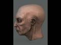videos de unfinished head
