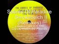 Sabres of paradise - Smokebelch II (holmes remix)