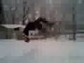 videos de Nick Winiarski Snowboarding backflip