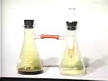 Physical properties of the halogens