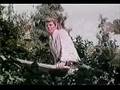  - MovieZen Video
