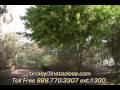 Foreclosure San Diego Ryan Broley Instaclose 888 770-3307 ext 1301