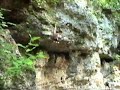 Le betulle crag at Premariacco - Udine Friuli Italy