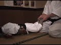 Karate Monkey