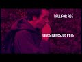 Terminator One Edit