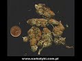 Marihuana - HappySad