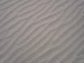 Sand over ripples Sand over ripples