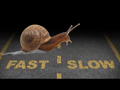 Warning: Slow Pokes In Georgia Are Now Ticketed