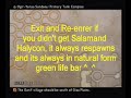 my perfect game faq:
http://neoseeker.com/resourcelink.html?rlid=156507&rid=145011

acturus is the second best gun and this video shows how to get it early before jahara :)

music 1 : ff6 terra
music 2 : ffx besiad
music 3 : ffx thunder plains

rare monster no. 04/80
name : bull croc (299)
weak  : earth
drops : pebble, braid wool, demon mail
steal : blood wool
poach : broken sword
original   : feral croc
rare rank  : *****
location   : ozmone plains/ the shred
appearance : appear randomly in north of the shred (south-east).
i found this after defeating all monsters.

rare monster no. 58/80
name : aeros (328)
weak  : thunder
drops : wyvern fang, crooked fang
steal : wyvern wing
poach : ashura
original   : aeronite
rare rank  : **
location   : ozmone plains
appearance : north area of the shred (south-east), appear lately after defeating rare monster no. 04/80, bull croc.