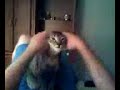 MOTORCYCLE KITTY MOTORCYCLE KITTY