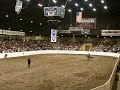 Freestyle Reining at 2008 Quarter Horse Congress