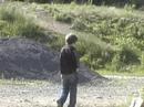 Strut Strut