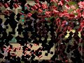 Emp Nasty Gets 99 Hit Points! With, Zezima, 5pirit, & Vodka5