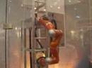 Robotica en Alemania