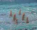 Dutch Open Synchronised Swimming 2008 Spain