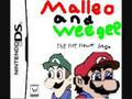 Malleo and Weegee: The Fire Flower Saga boxart!