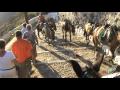 videos de WKHS Kids meet Greek Mules 1