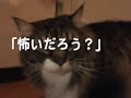 ????\"???????I dont like your shampoo smell!!?