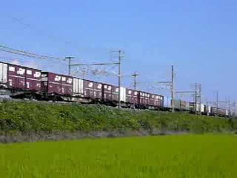 313系とEF66 100番台牽引　貨物列車（2008年9月撮影）
