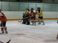 2008/2009 BLOMHA Bruins