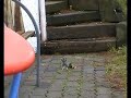 playmo destroyer