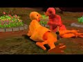 Animal Love 3 - The Chordettes Lollipop