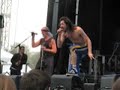 Osheaga: Gogol Bordello