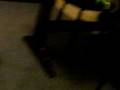 videos de zola forever
