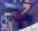 coregraful David