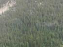 Panoramic view of Indpendence Pass Panoramic view of Indpendence Pass