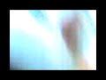 altesse jack russel et contesse altesse jack russel et contesse