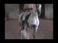 CABALLO EL GITANO