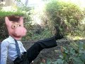 Online Dating Tips for Dummies with Preston the Pig
