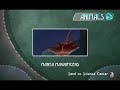 Beyond Good And Evil Walkthrough PC 17/33 Beyond Good And Evil Walkthrough PC 17/33
