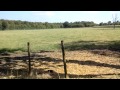 Huawei Ascend P1 Testvideo A