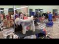 videos de Prague u tube