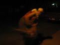 two boys being stupid and funny