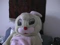 Pet Tricks